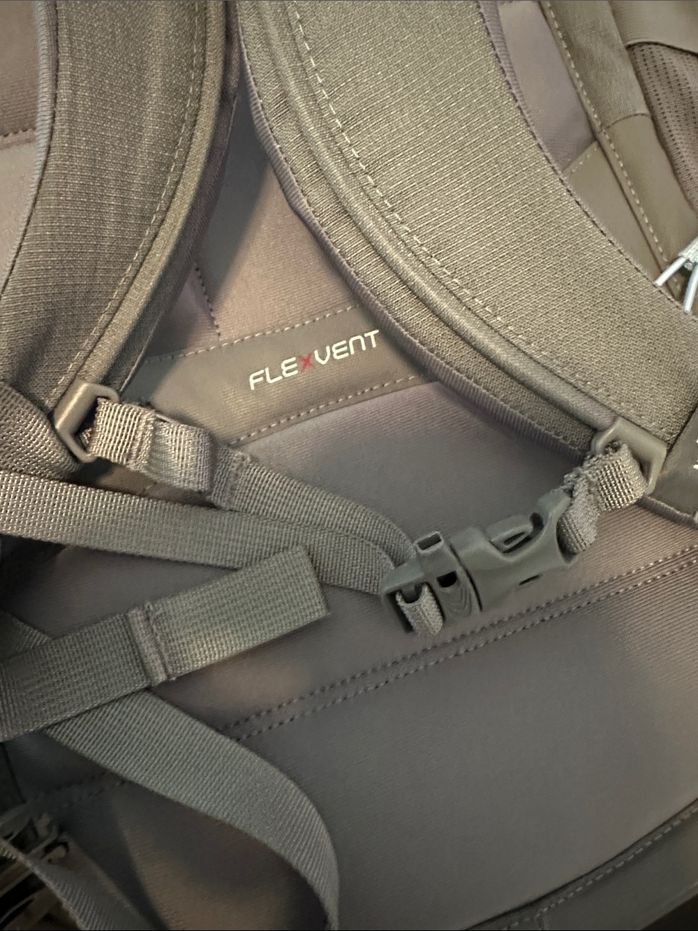 The North Face Gray Backpack with Light Blue Bungee Flexvent - Picture 14 of 17